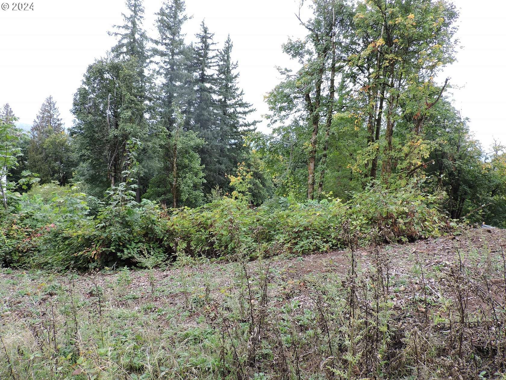 0.41 Acres of Residential Land for Sale in Happy Valley, Oregon