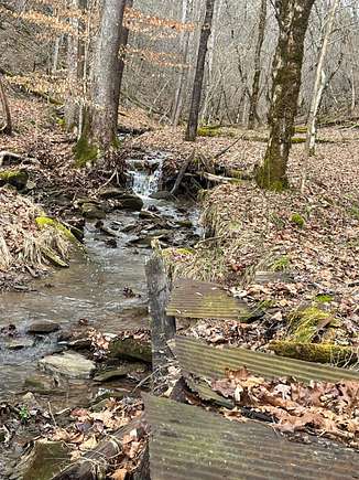 150 Acres of Recreational Land for Sale in Arnoldsburg, West Virginia