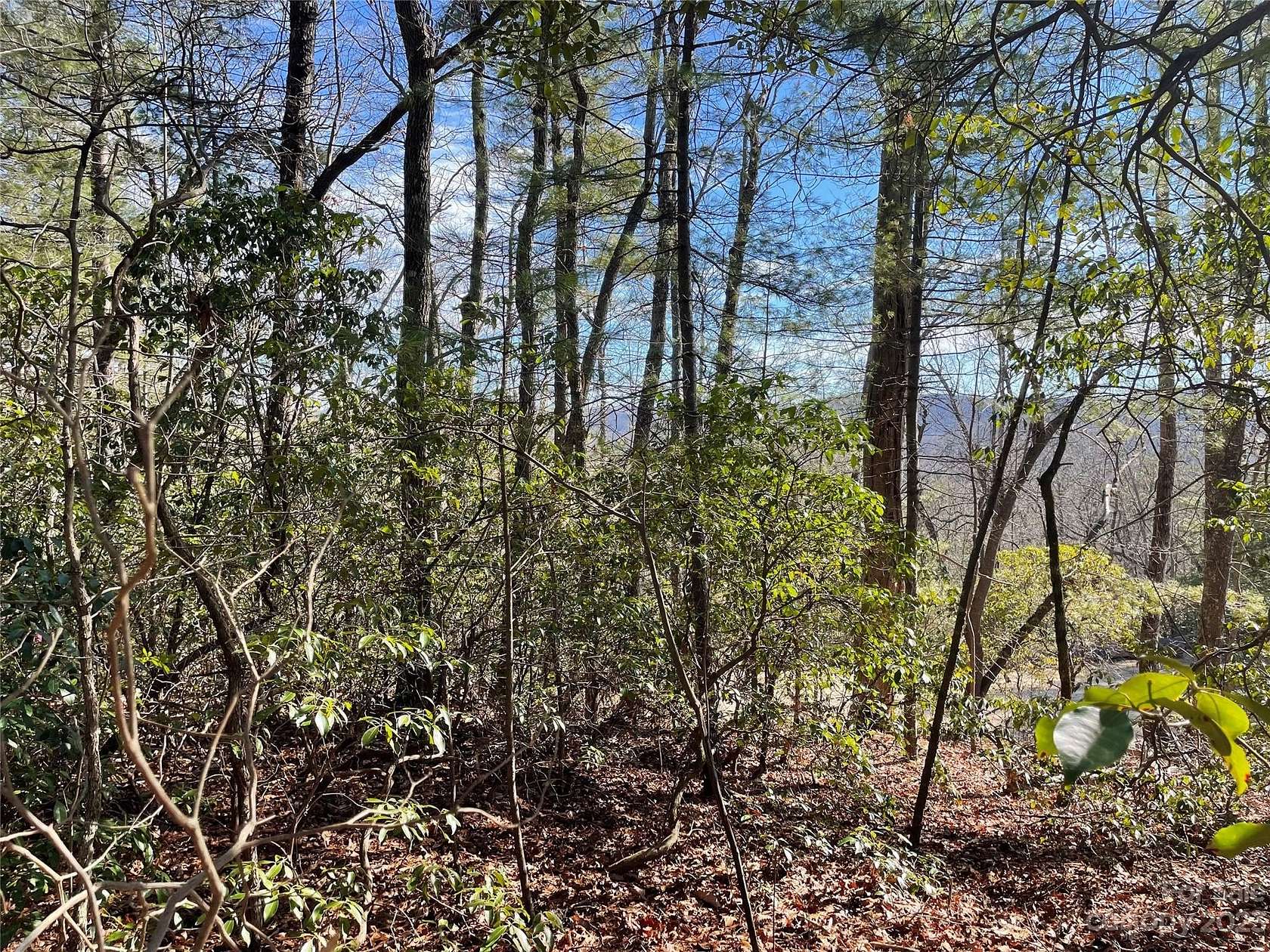2.62 Acres of Residential Land for Sale in Zirconia, North Carolina