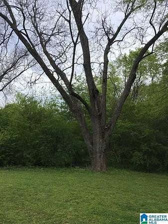 5.28 Acres of Residential Land for Sale in Pleasant Grove, Alabama