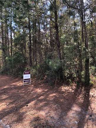0.5 Acres of Residential Land for Sale in Brunswick, Georgia