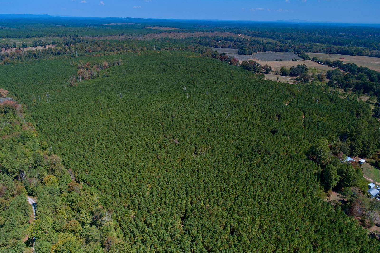 74 Acres of Land for Sale in Wilsonville, Alabama