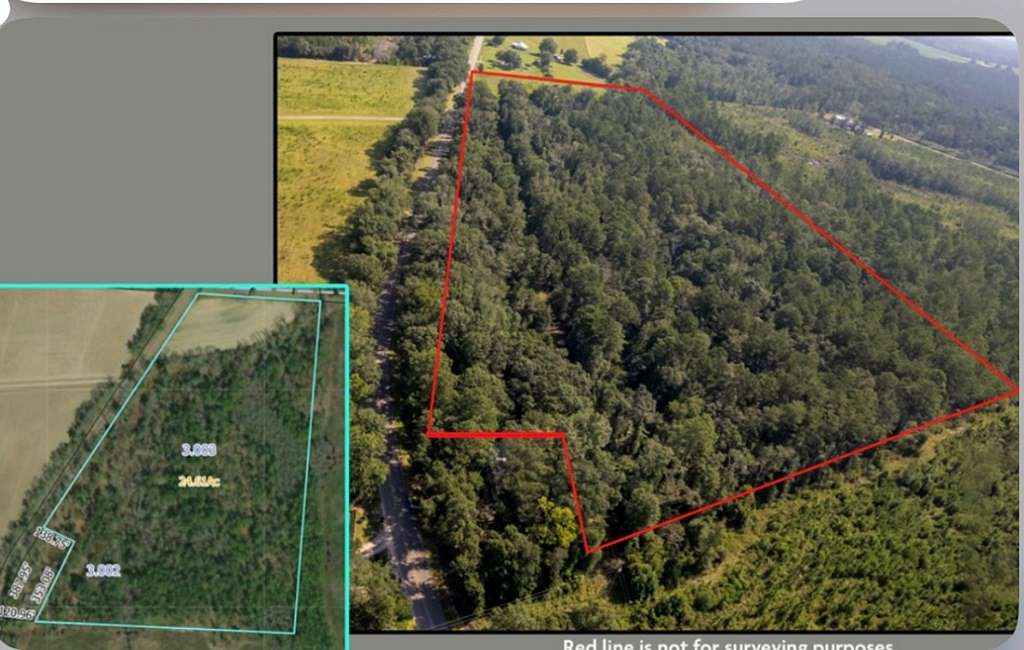 73 Acres of Land for Sale in Cottonwood, Alabama