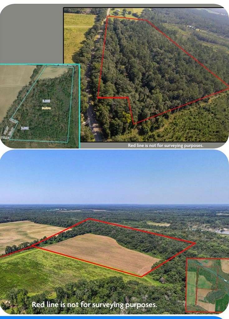 73 Acres of Land for Sale in Cottonwood, Alabama