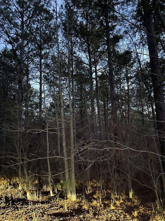 5 Acres of Land for Sale in Homer, Louisiana