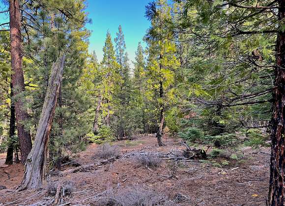 0.97 Acres of Residential Land for Sale in Alturas, California
