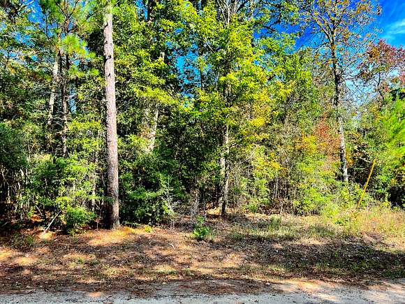 0.2 Acres of Residential Land for Sale in Woodville, Florida