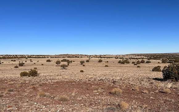 1 Acre of Residential Land for Sale in Concho, Arizona