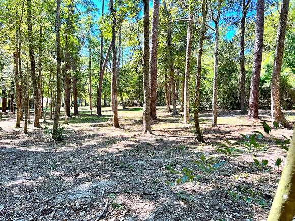 0.17 Acres of Residential Land for Sale in Woodville, Florida