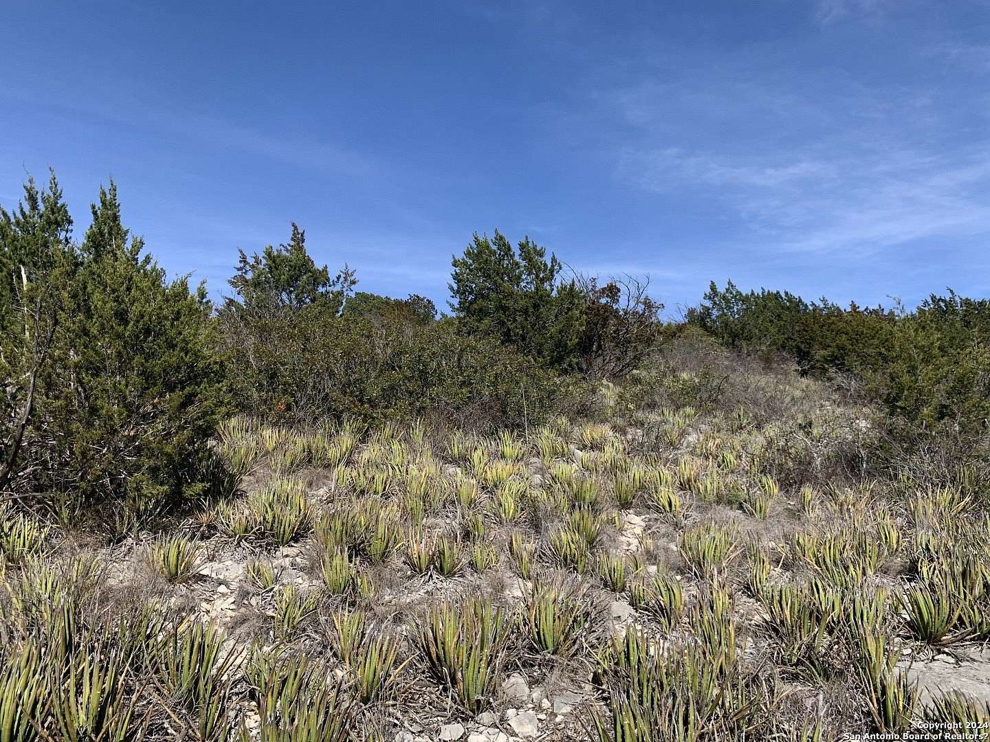 5.3 Acres of Land for Sale in Uvalde, Texas