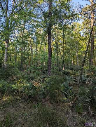 13.9 Acres of Recreational Land for Sale in Livingston, Louisiana