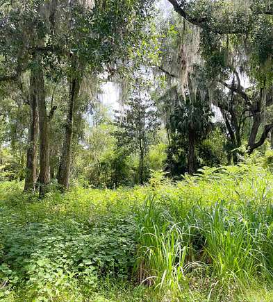 0.26 Acres of Residential Land for Sale in Satsuma, Florida