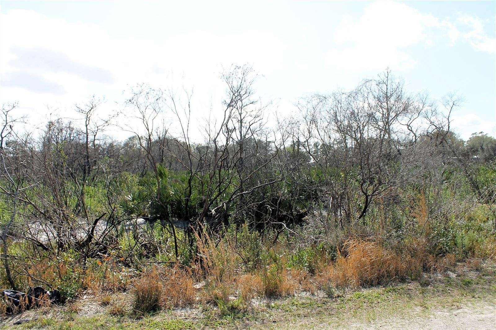 1.2 Acres of Residential Land for Sale in Lake Wales, Florida