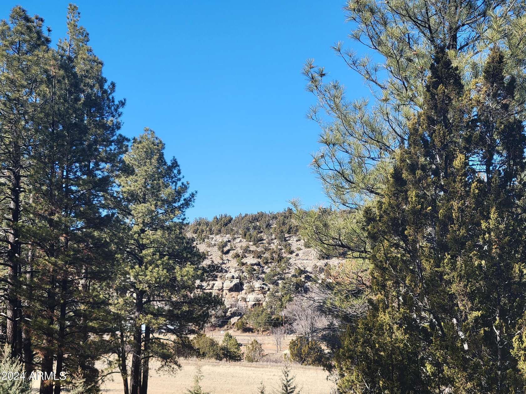 21.4 Acres of Land for Sale in Heber, Arizona
