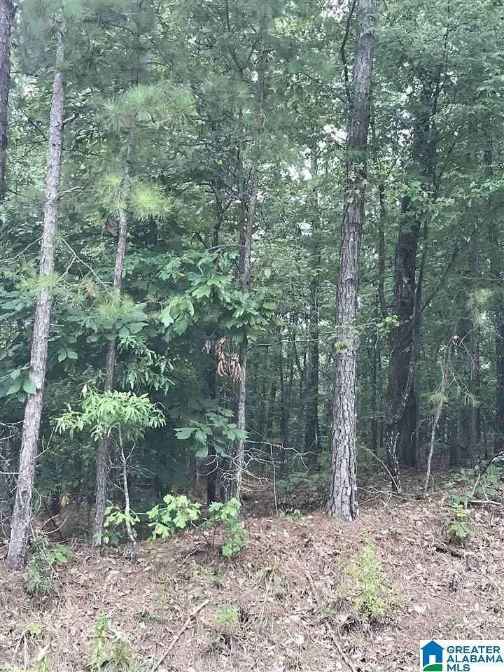 0.73 Acres of Land for Sale in Alpine, Alabama