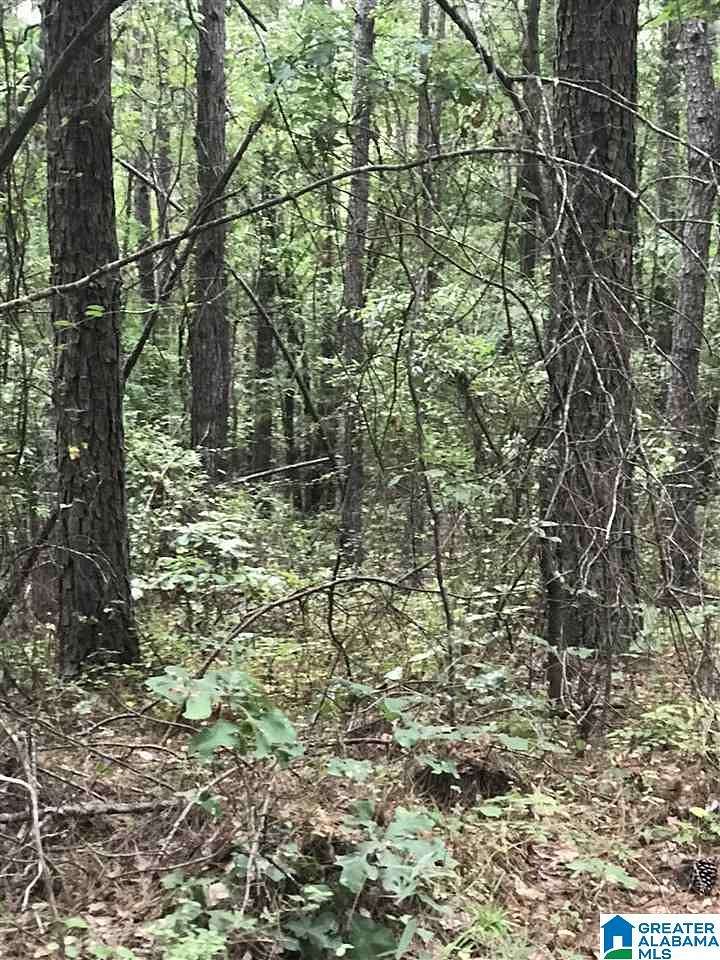 0.57 Acres of Land for Sale in Alpine, Alabama