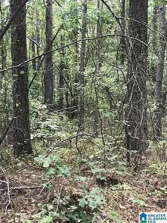 0.57 Acres of Residential Land for Sale in Alpine, Alabama