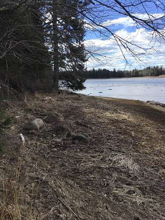 7.4 Acres of Land for Sale in East Machias, Maine