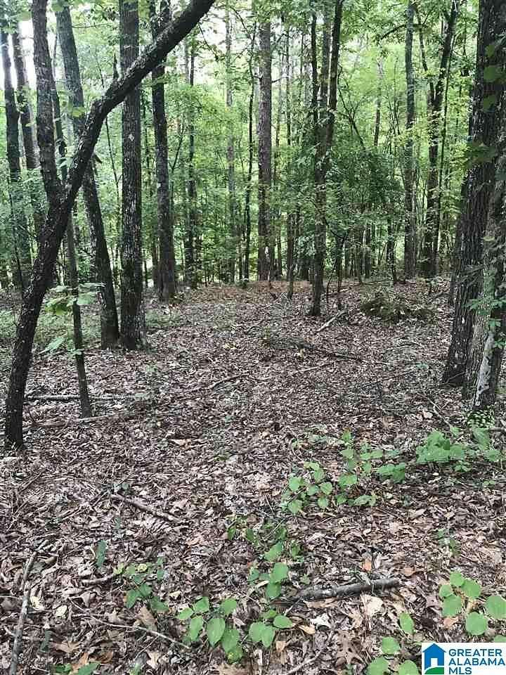 0.35 Acres of Land for Sale in Alpine, Alabama