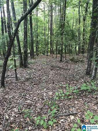 0.35 Acres of Land for Sale in Alpine, Alabama