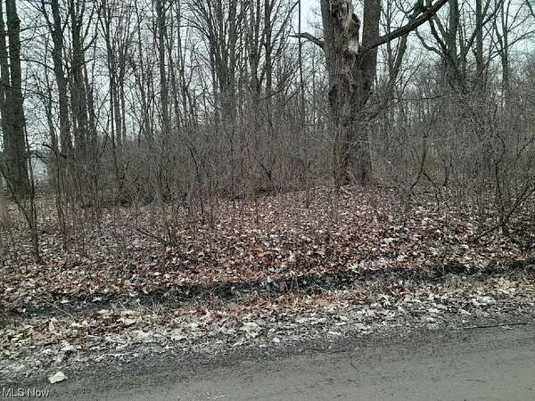 0.46 Acres of Land for Sale in West Farmington, Ohio