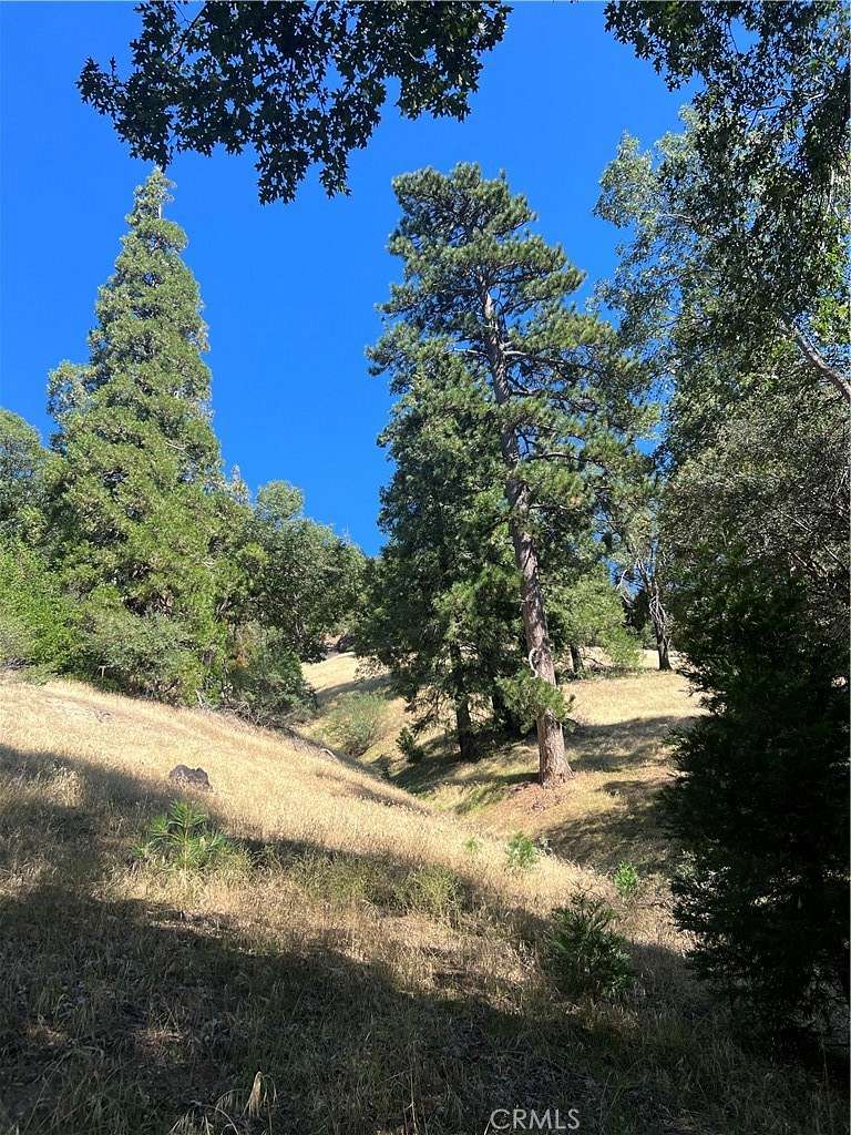 0.2 Acres of Residential Land for Sale in Cedarpines Park, California