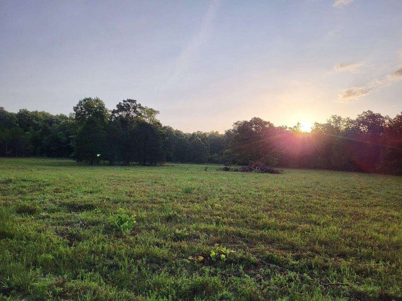 85 Acres of Recreational Land & Farm for Sale in Mountain Grove, Missouri