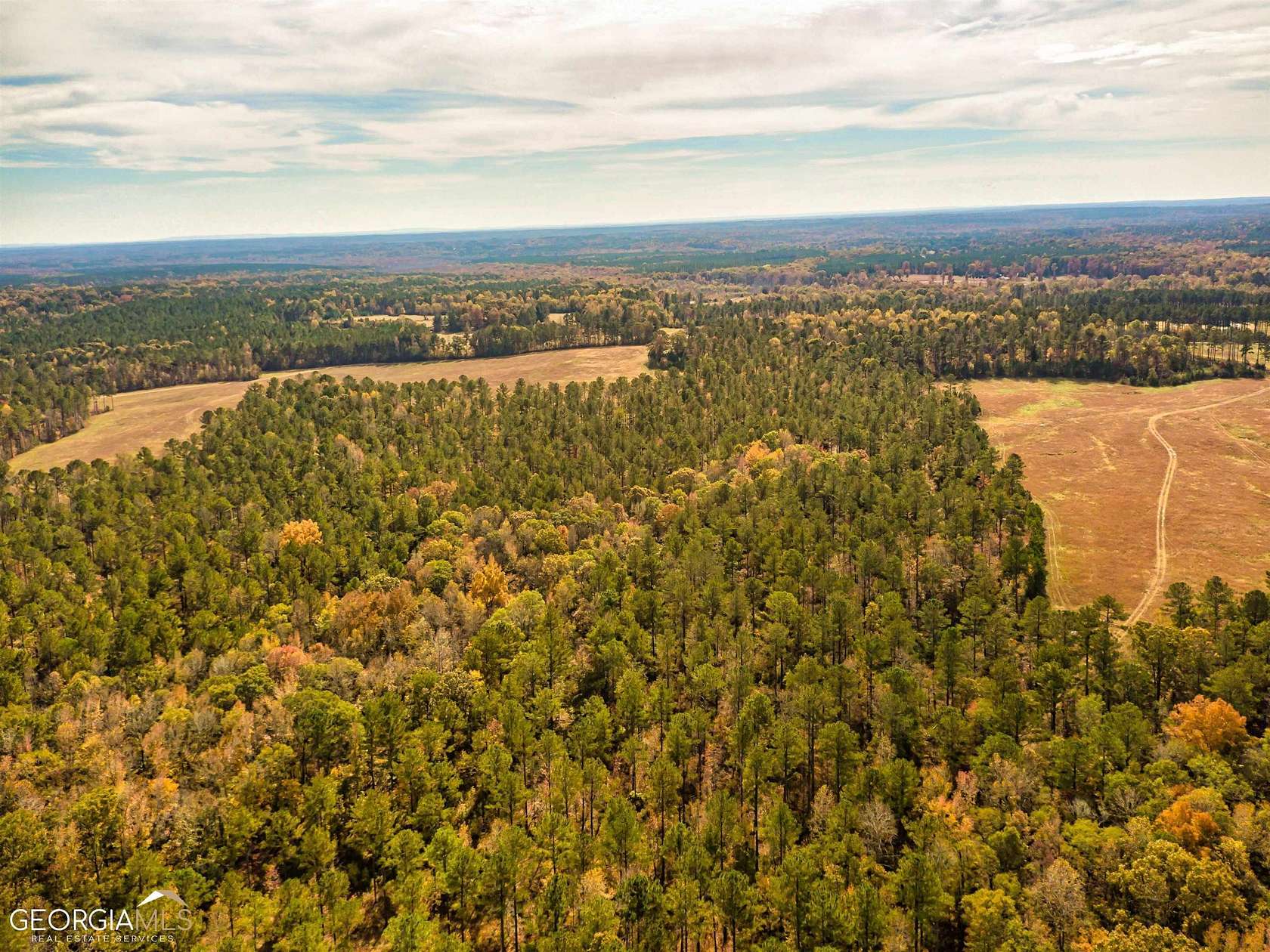 37.6 Acres of Land for Sale in Moreland, Georgia