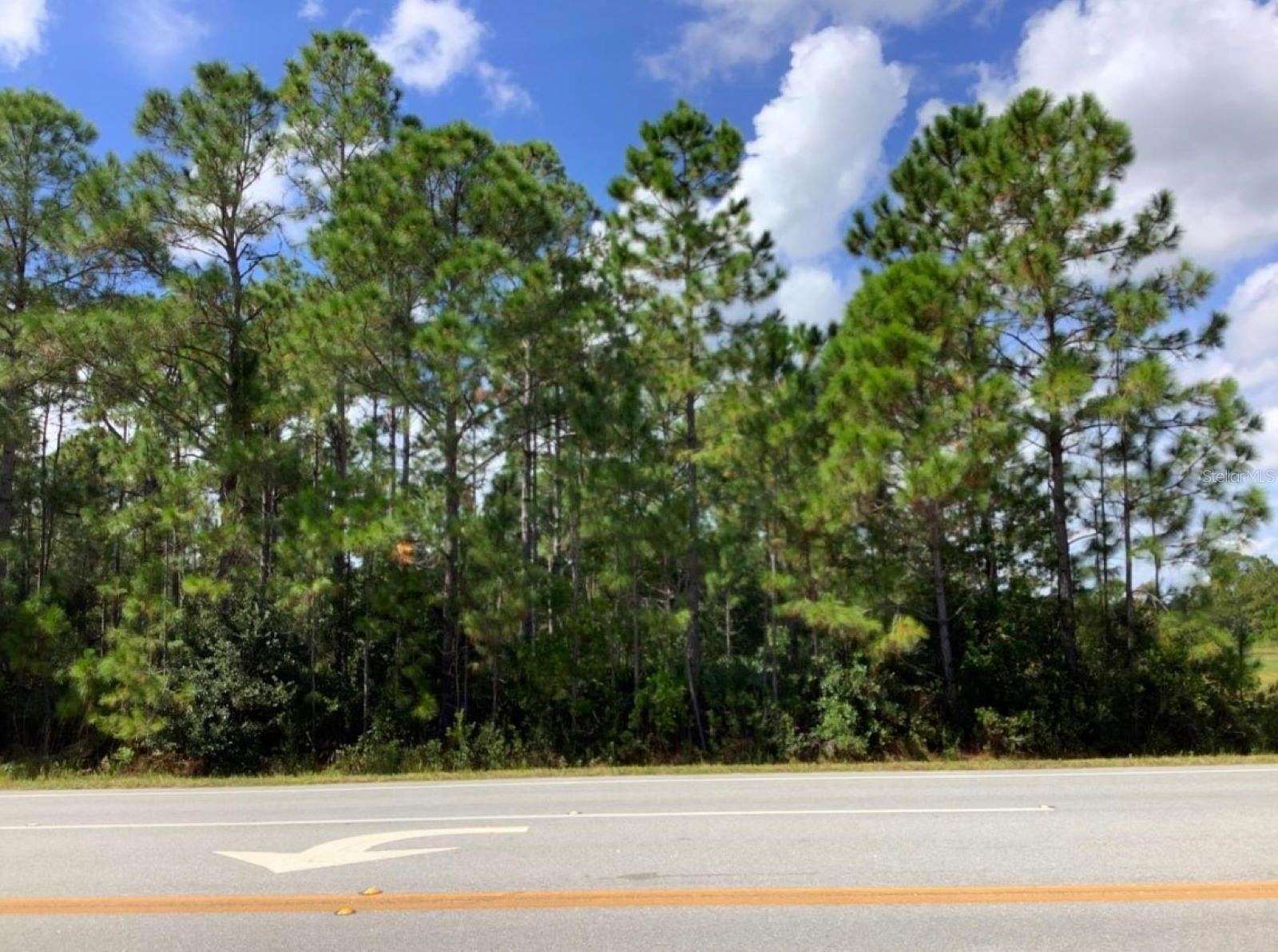 1.1 Acres of Residential Land for Sale in Orlando, Florida