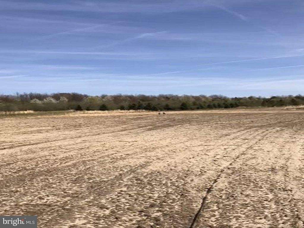 47 Acres of Agricultural Land for Sale in Shamong Township, New Jersey