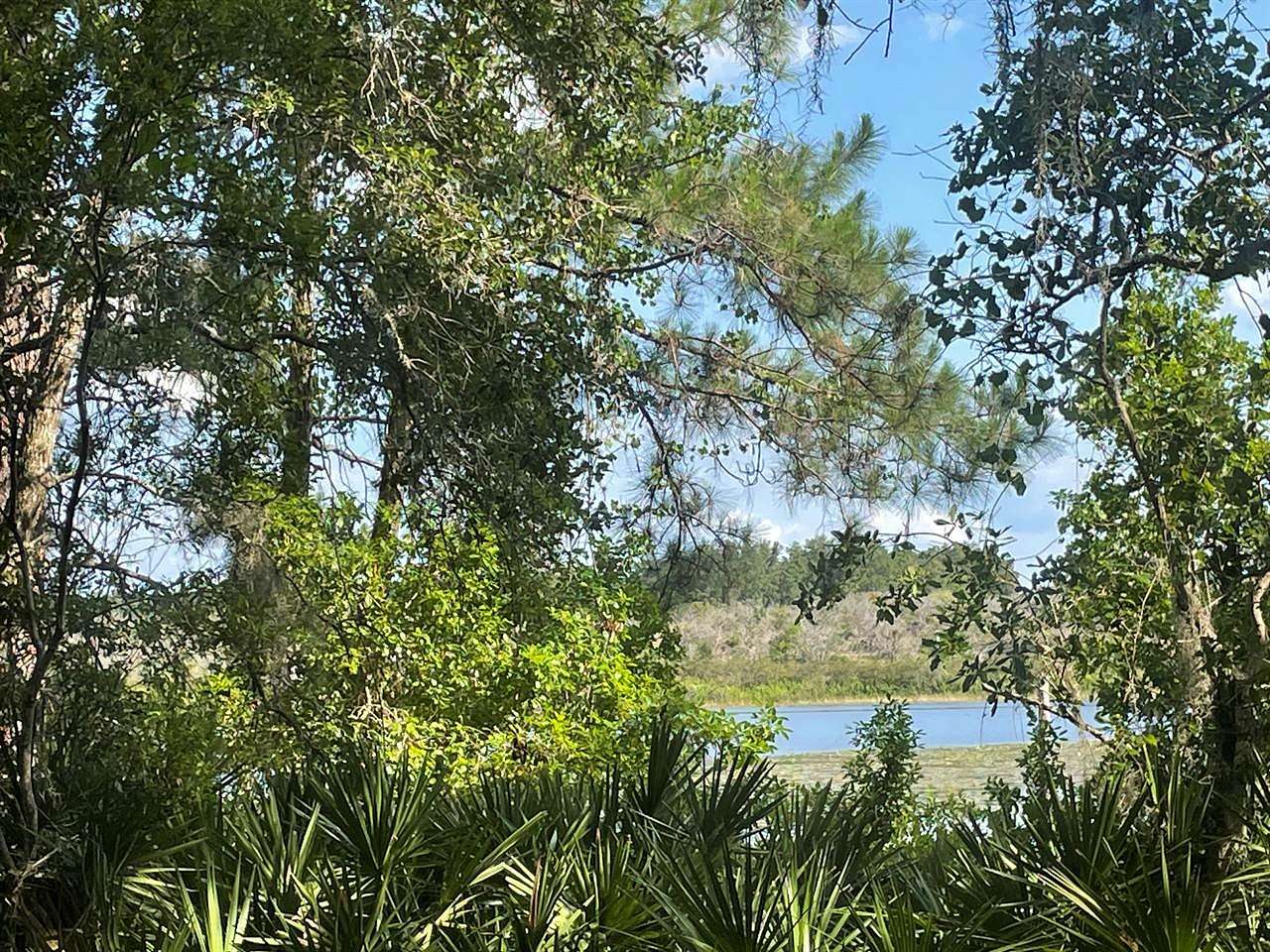 0.44 Acres of Residential Land for Sale in Ocklawaha, Florida