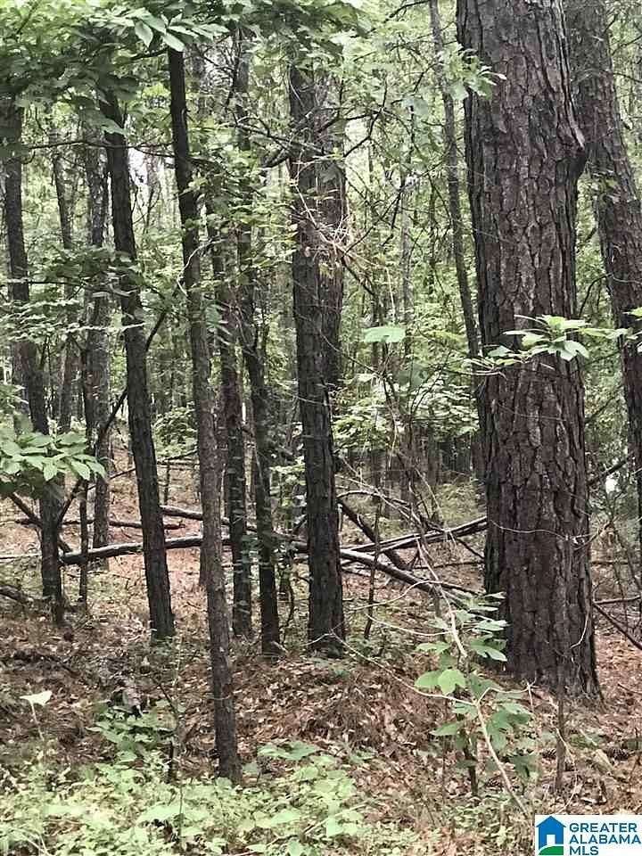 0.61 Acres of Residential Land for Sale in Alpine, Alabama