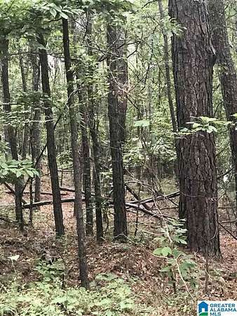 0.61 Acres of Residential Land for Sale in Alpine, Alabama
