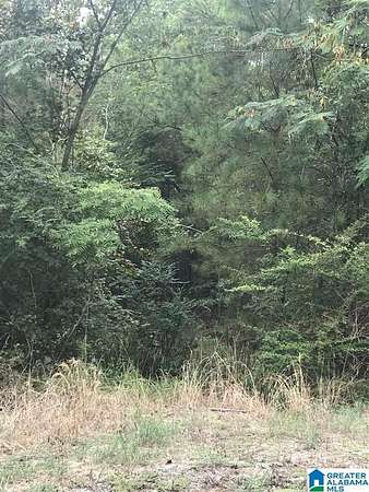 0.31 Acres of Land for Sale in Alpine, Alabama