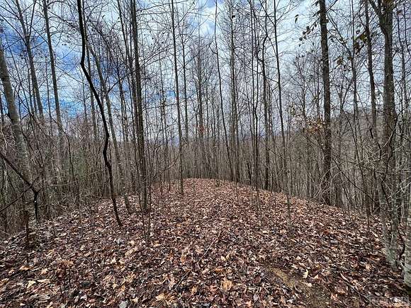 1.5 Acres of Residential Land for Sale in Glenville, North Carolina