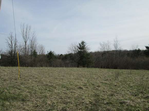 12 Acres of Recreational Land for Sale in Atlanta, Michigan