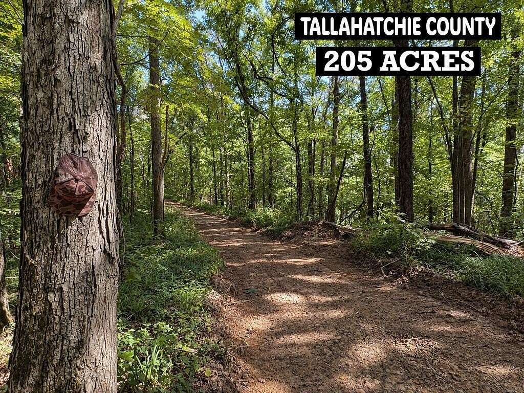 205 Acres of Recreational & Residential Land for Sale in Leverett, Mississippi