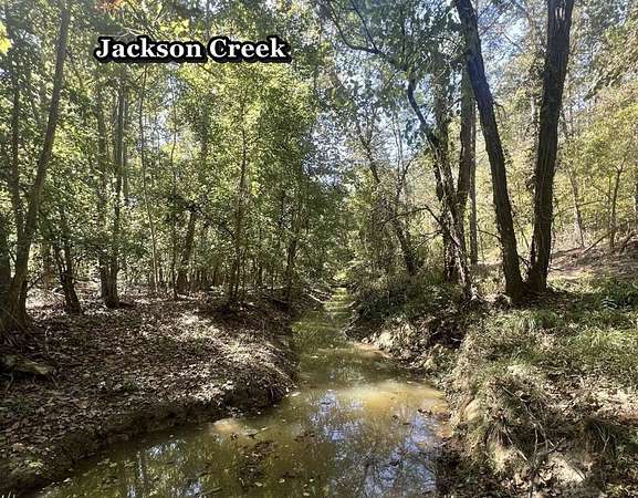 205 Acres of Recreational Land for Sale in Leverett, Mississippi