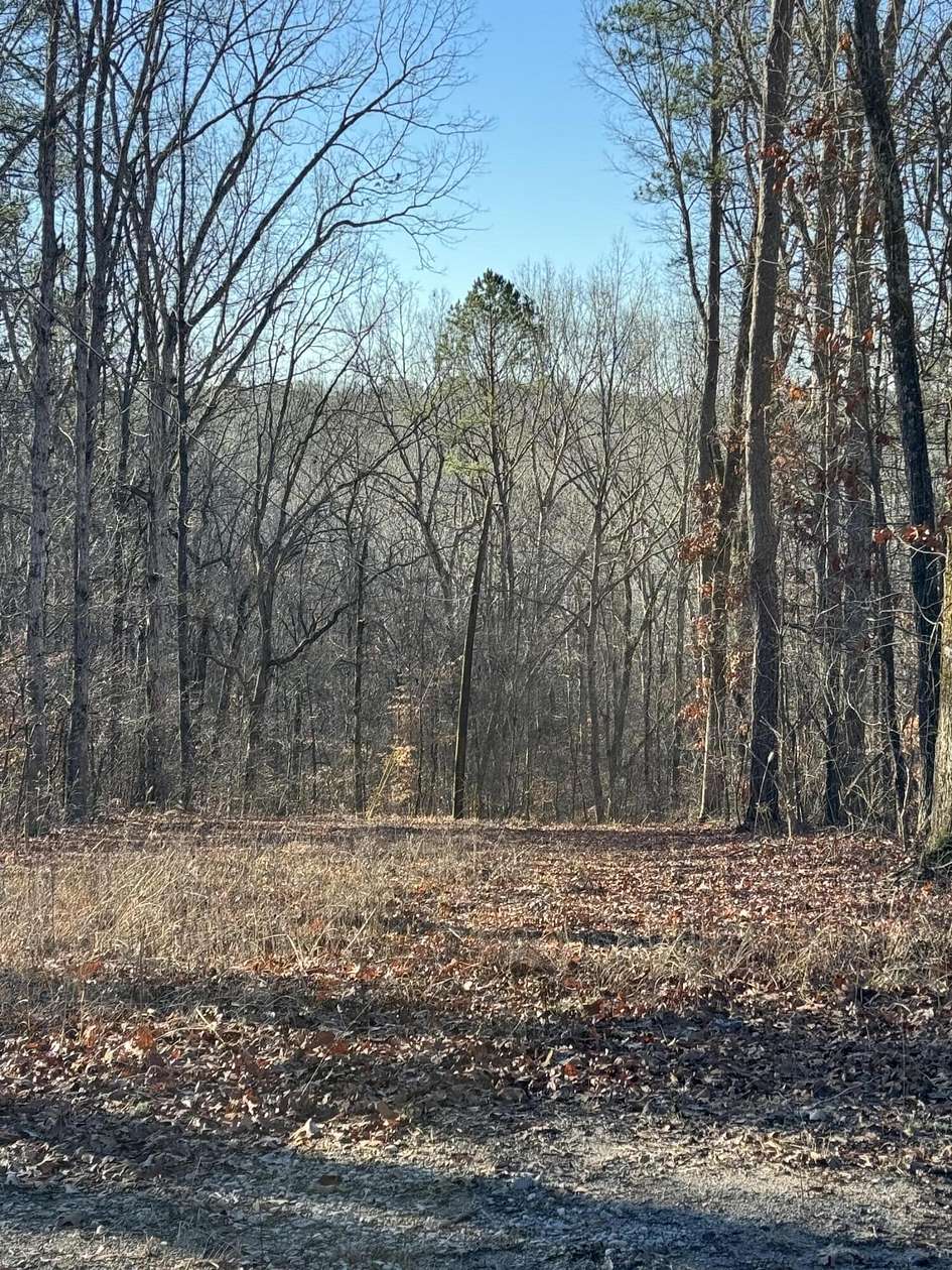 1.5 Acres of Residential Land for Sale in Hickory Flat, Mississippi