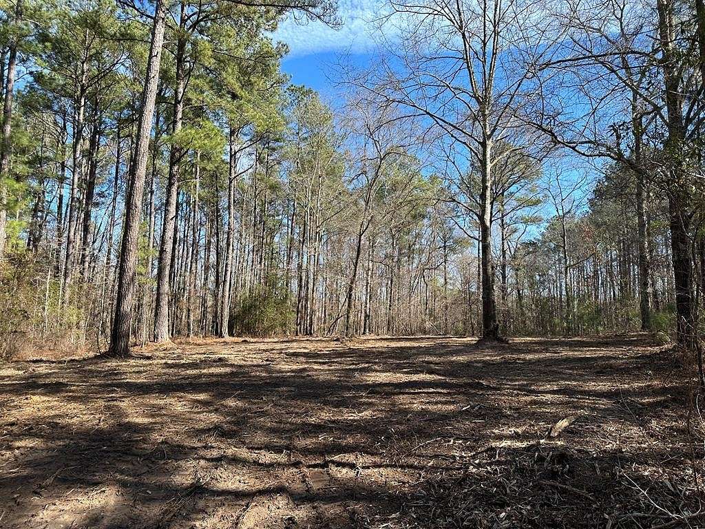 2.8 Acres of Land for Sale in Summerton, South Carolina