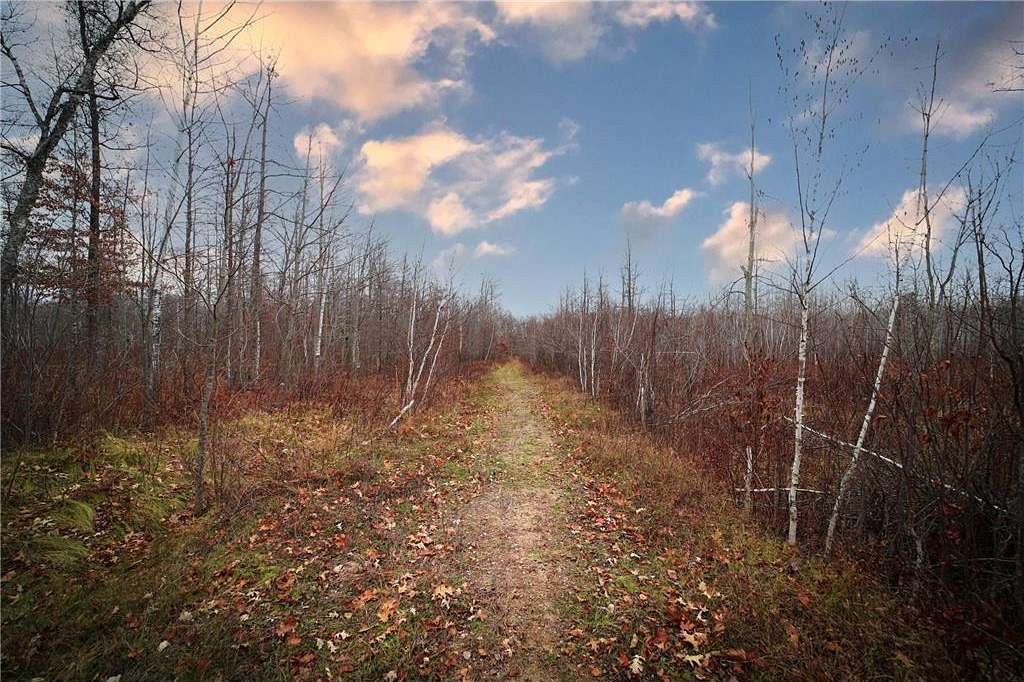 40 Acres of Recreational Land for Sale in Pequot Lakes, Minnesota
