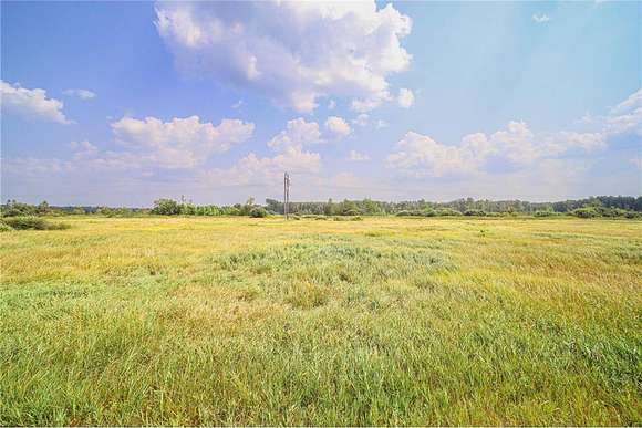 40 Acres of Recreational Land for Sale in Staples, Minnesota