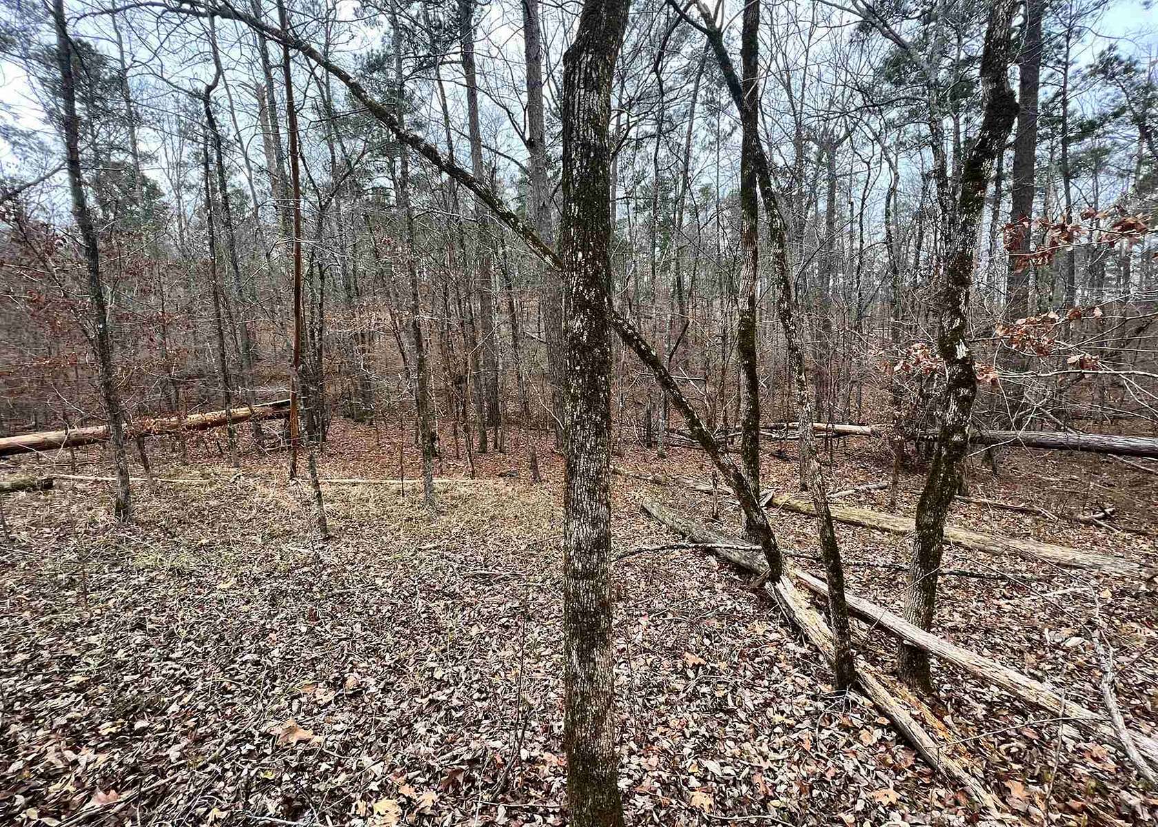 0.52 Acres of Residential Land for Sale in Sparta, Georgia