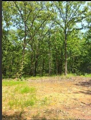 20 Acres of Recreational Land for Sale in Le Flore, Oklahoma