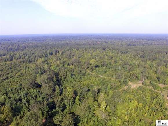 80 Acres of Recreational Land for Sale in Spearsville, Louisiana