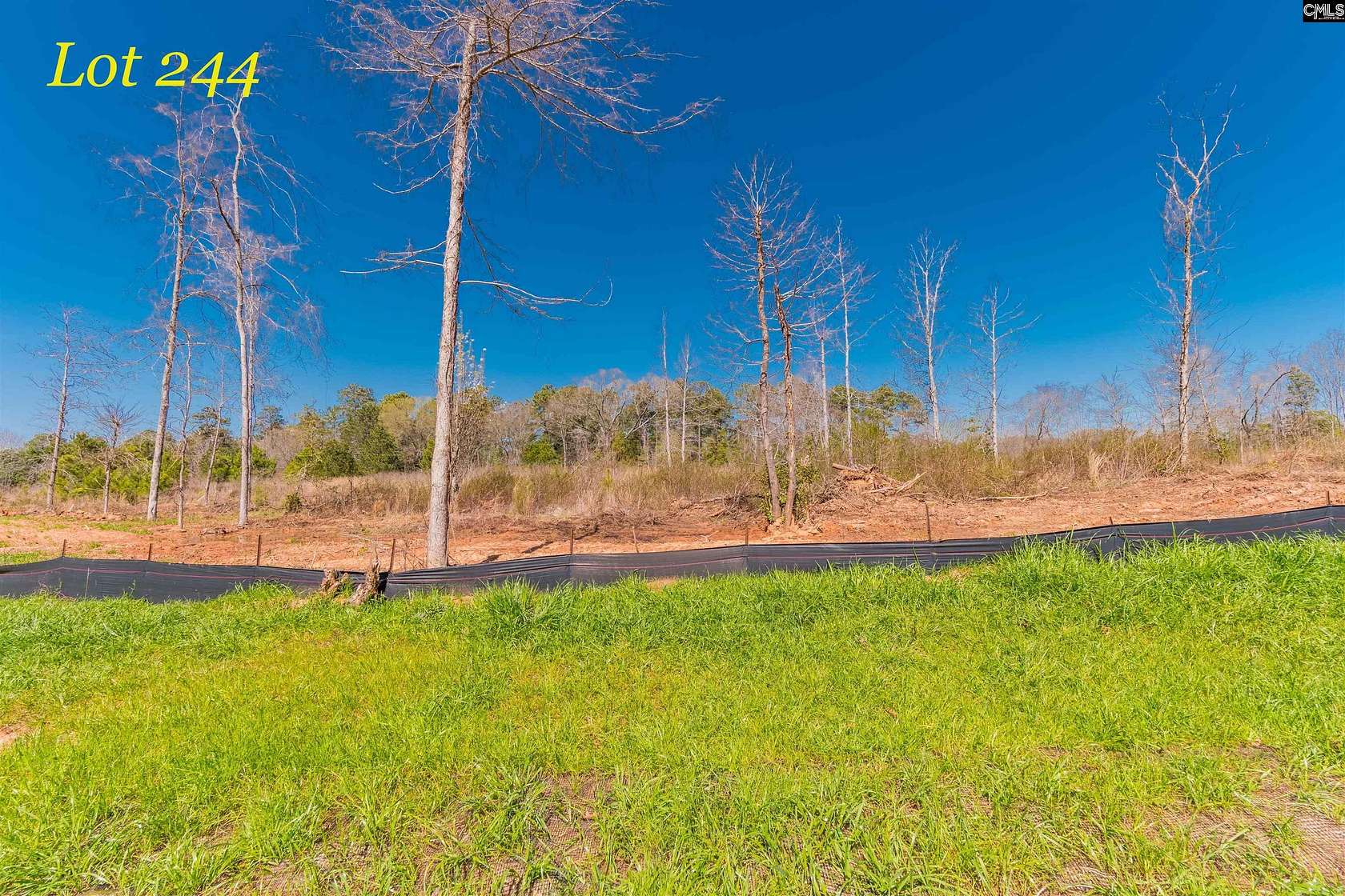 1.1 Acres of Residential Land for Sale in Prosperity, South Carolina