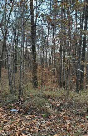 Residential Land for Sale in Jasper, Alabama