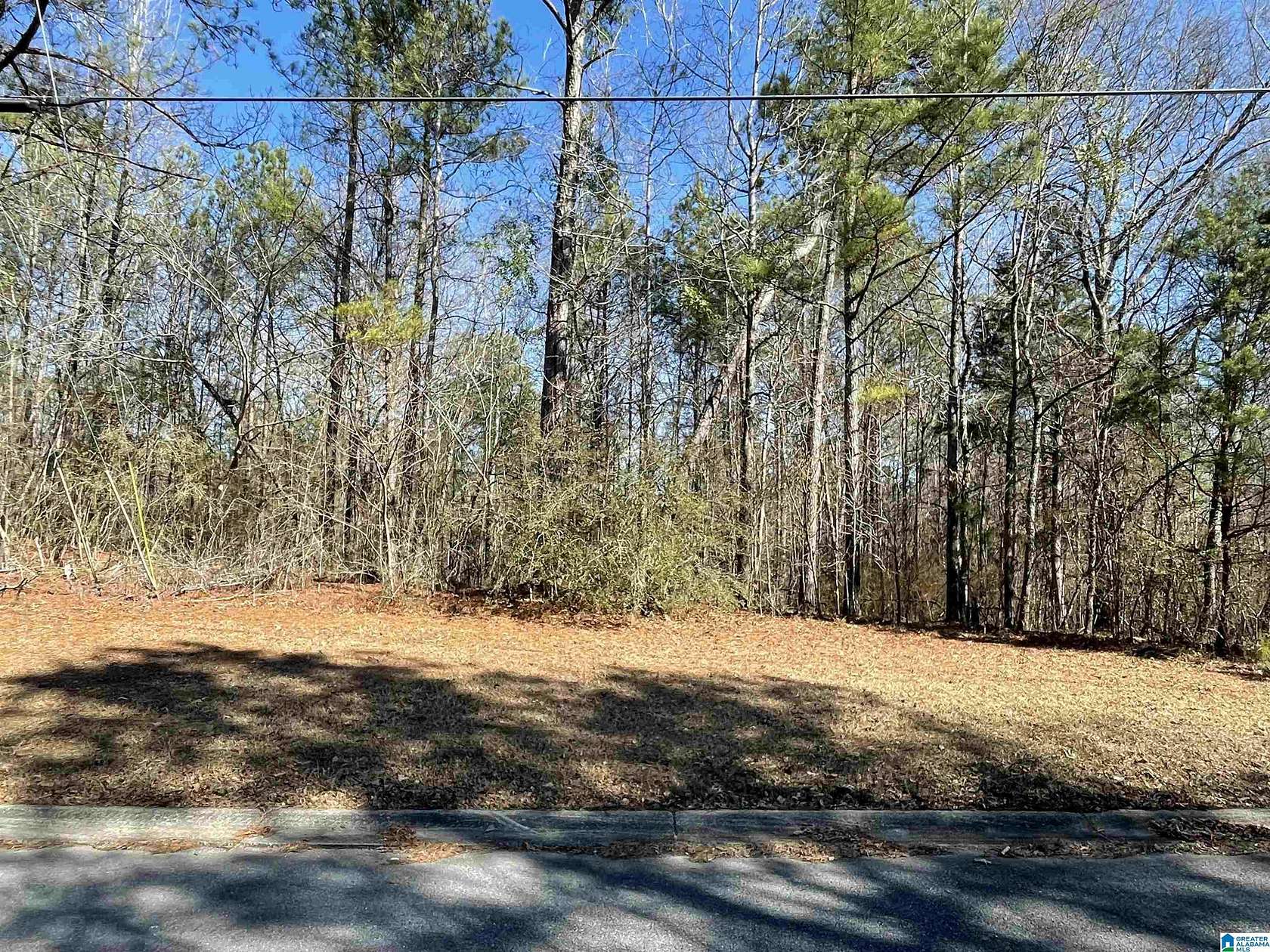 0.46 Acres of Residential Land for Sale in Wilsonville, Alabama