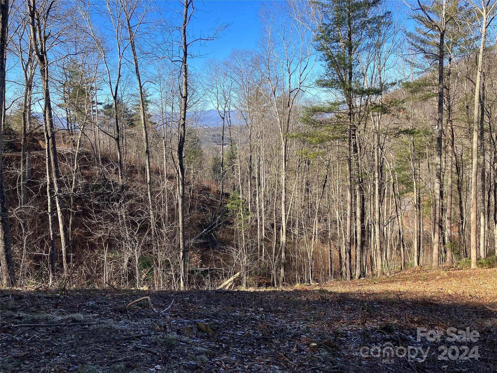 1.1 Acres of Residential Land for Sale in Asheville, North Carolina