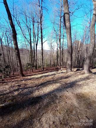 1.2 Acres of Residential Land for Sale in Zirconia, North Carolina